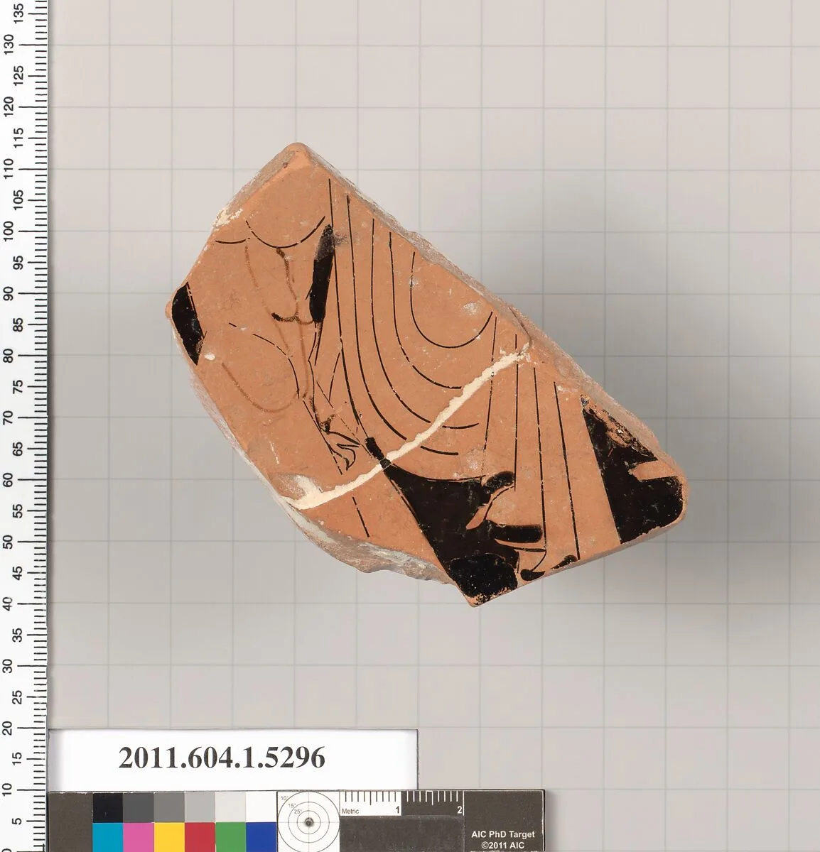 Terracotta fragment of a kylix (drinking cup) — Unknown