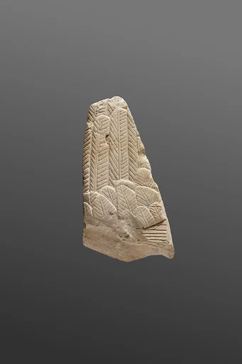 Relief from the tomb of Neferu showing part of a bird - see 26.3.353*; 31.3.1-1
