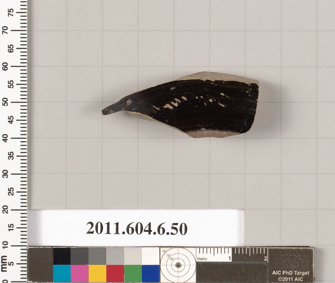 Terracotta fragment of a closed shape — Unknown