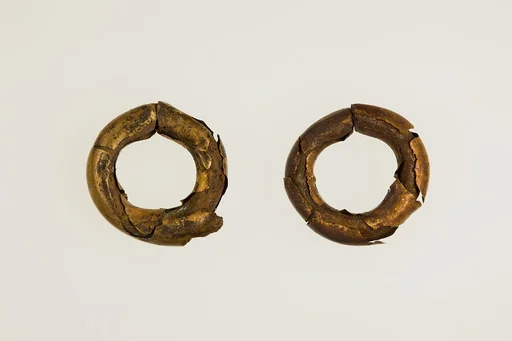 Pair of Earrings (with 16.10.313)