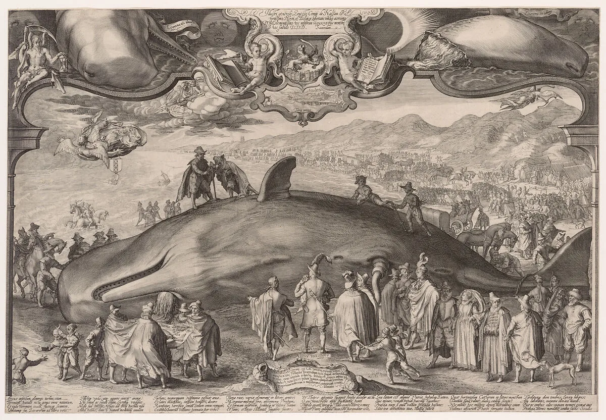 Beached Whale at Wijk aan Zee — Jan (Pietersz.) Saenredam