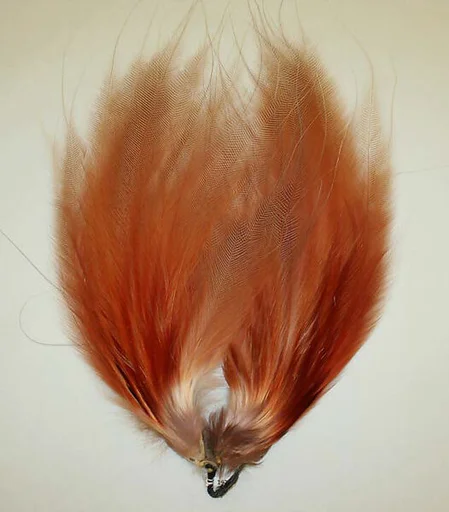 Feather