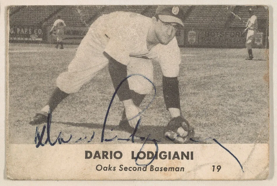 Dario Lodigiani, Oaks Second Baseman, from the Oakland Baseball Players (Oaks) series (D317), issued by Sunbeam Bread and Remar Bread — Sunbeam Bread|Remar Baking Company
