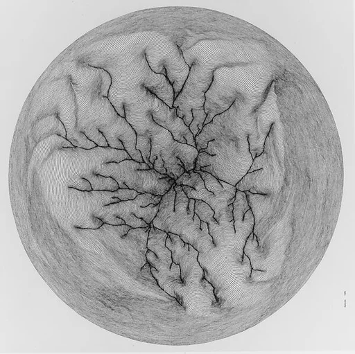 Circle #5