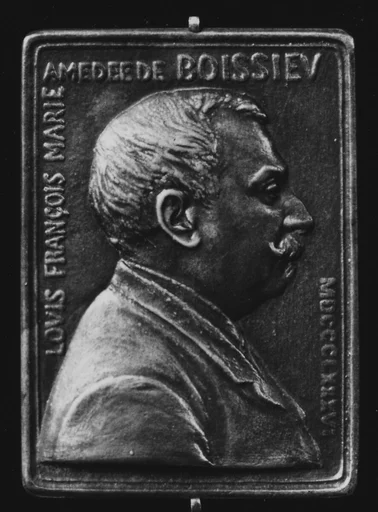 M. de Boissieu