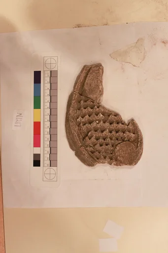 Stucco Fragment