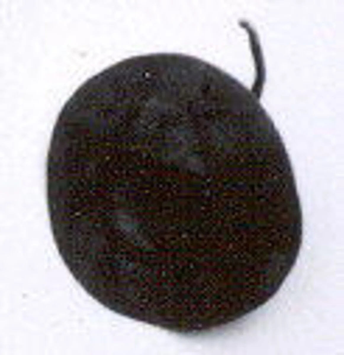 Disk ornament — Unknown