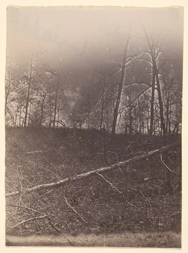 [The Wilderness Battlefield]