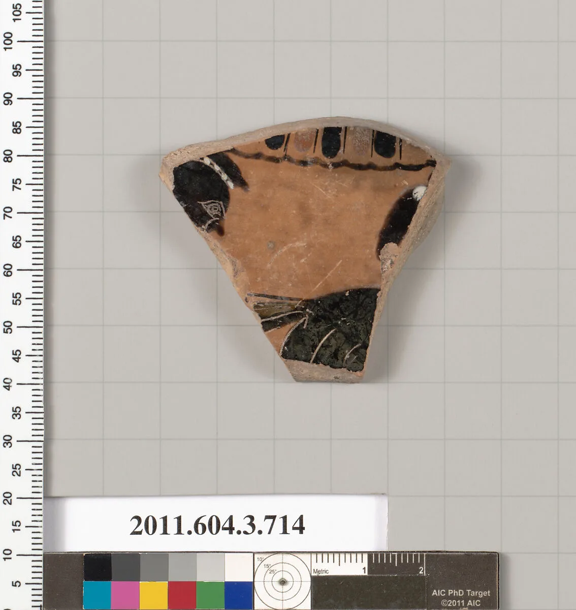 Terracotta fragment of a hydria (water jar) — Unknown