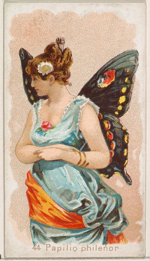 Card 44, Papilio Philenor, from the Butterflies series (N183) issued by Wm. S. Kimball & Co. — Julius Bien|William S. Kimball & Company