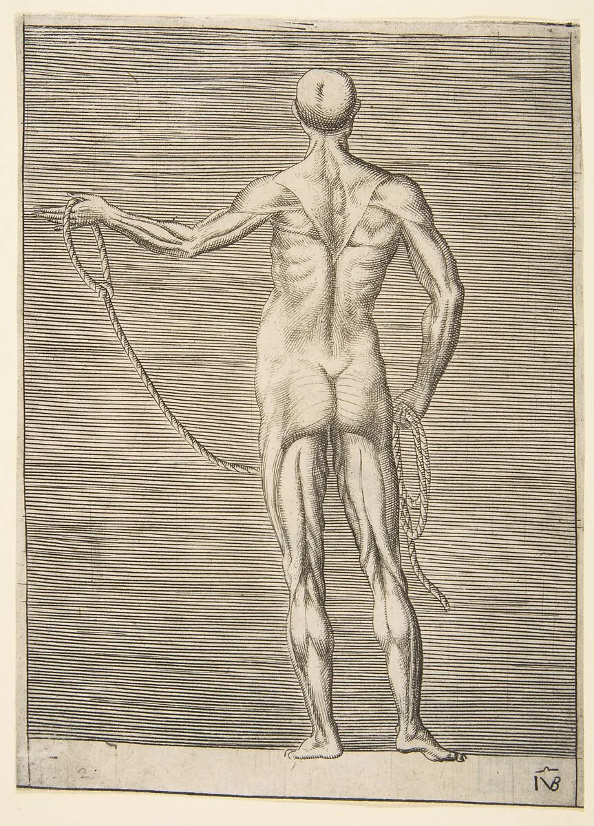 Flayed man seen from behind, holding a rope — Giulio Bonasone