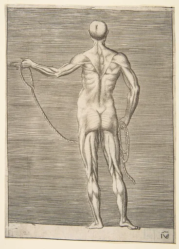 Flayed man seen from behind, holding a rope