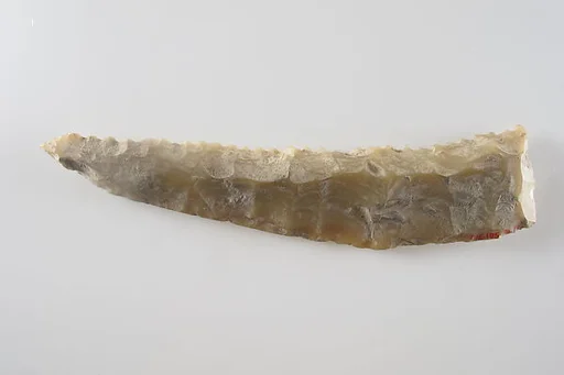 Sickle Insert