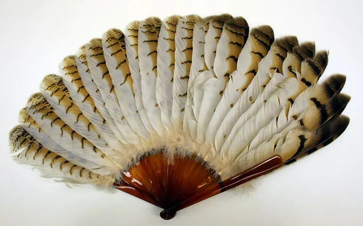 Fan — Unknown