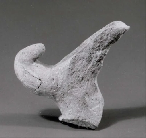Beak spout
