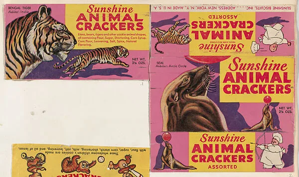 Bengal Tiger, collector card from the Animals series (D10), issued by Sunshine Biscuits, Inc. to promote their product, Animal Crackers — Sunshine Biscuits, Inc.