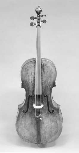 Violoncello