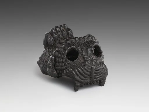Upper part of a lion's head