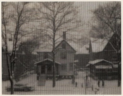 Rundel Park through Window Screen, Winter, Rochester