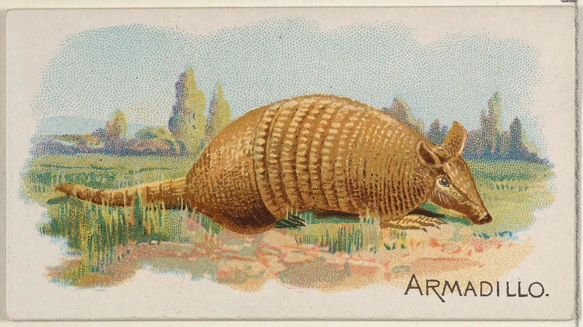 Armadillo, from the Quadrupeds series (N21) for Allen & Ginter Cigarettes — Allen & Ginter|Lindner, Eddy & Claus