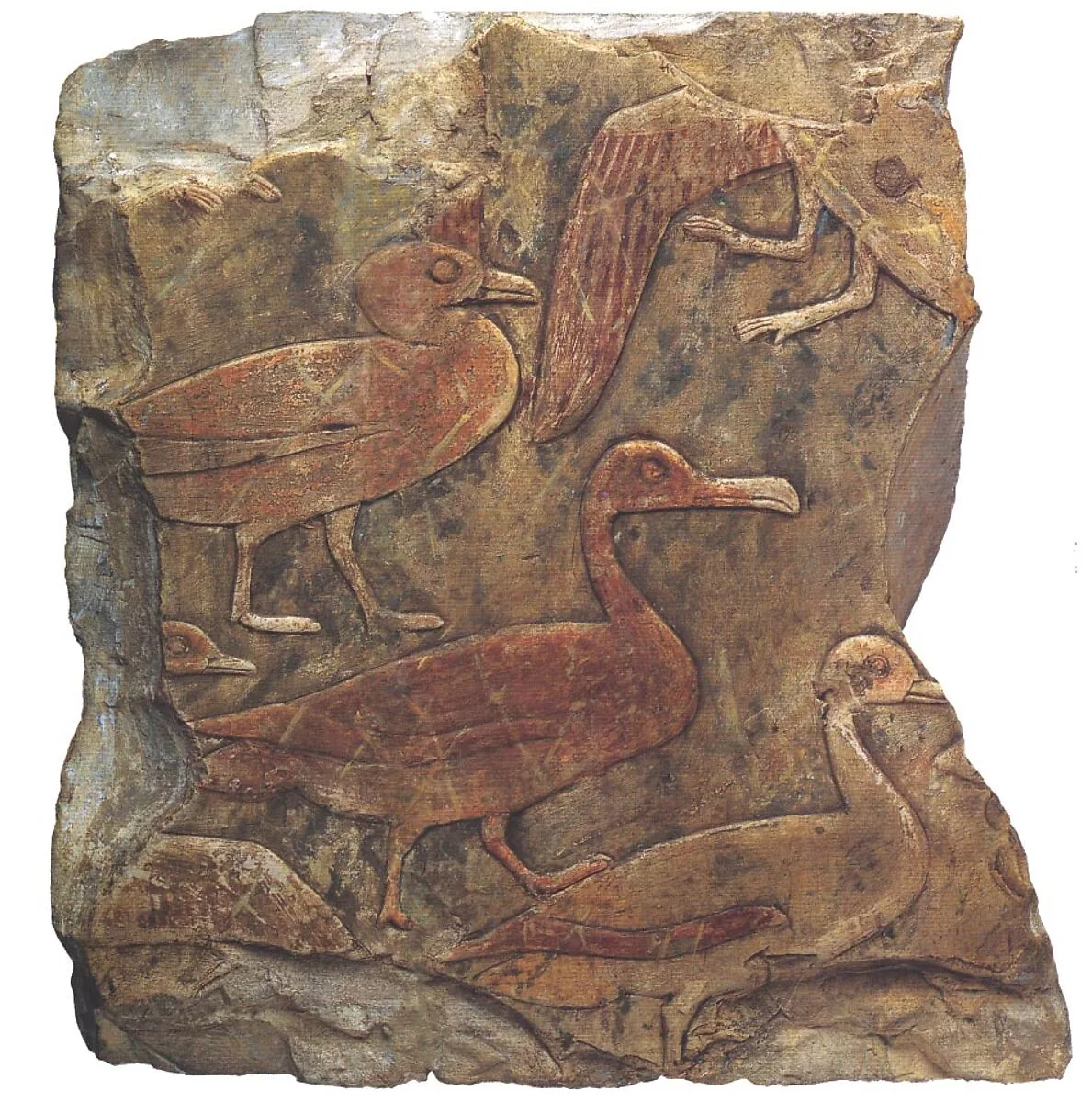 Relief Fragment Showing Waterfowl in a Clapnet — Unknown