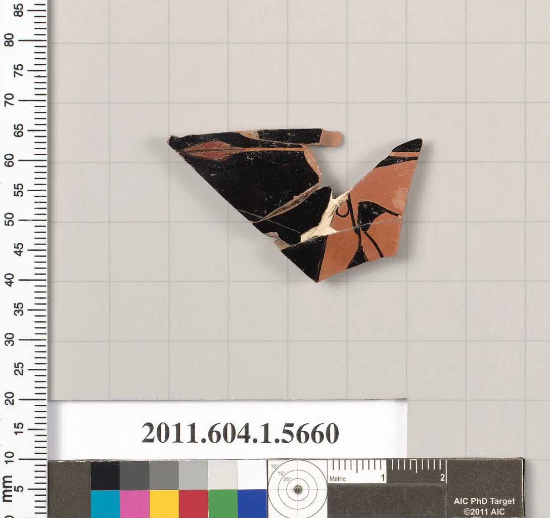 Terracotta fragment of a kylix (drinking cup) — Unknown