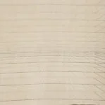 Untitled — Nasreen Mohamedi
