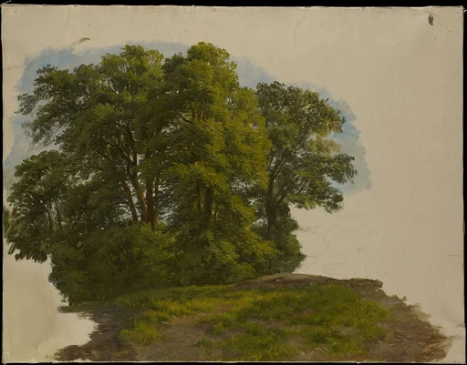 Cluster of Trees