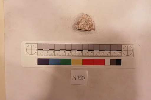 Stucco Fragment