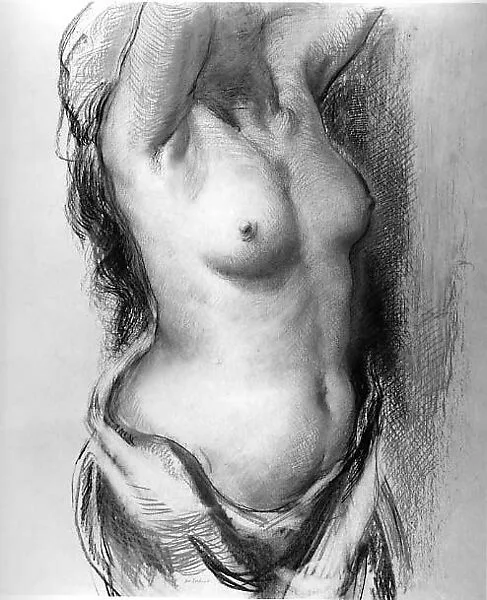 Torso of a Woman — Jon Corbino