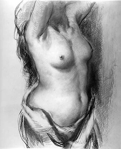 Torso of a Woman