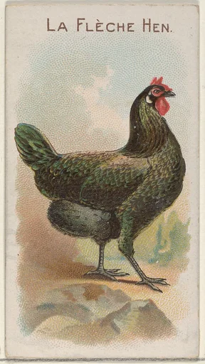 La Flèche Hen, from the Prize and Game Chickens series (N20) for Allen & Ginter Cigarettes