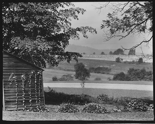 [Wooden Building and Fields on Estate of Suzette Morton Hamill, Lake Forest, Illinois]