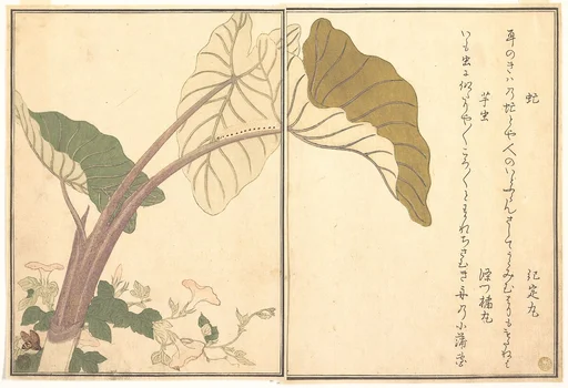 『画本虫撰』 「虻」「芋虫」|Horsefly (abu); Green Caterpillar, imomushi, from the Picture Book of Crawling Creatures (Ehon mushi erami)