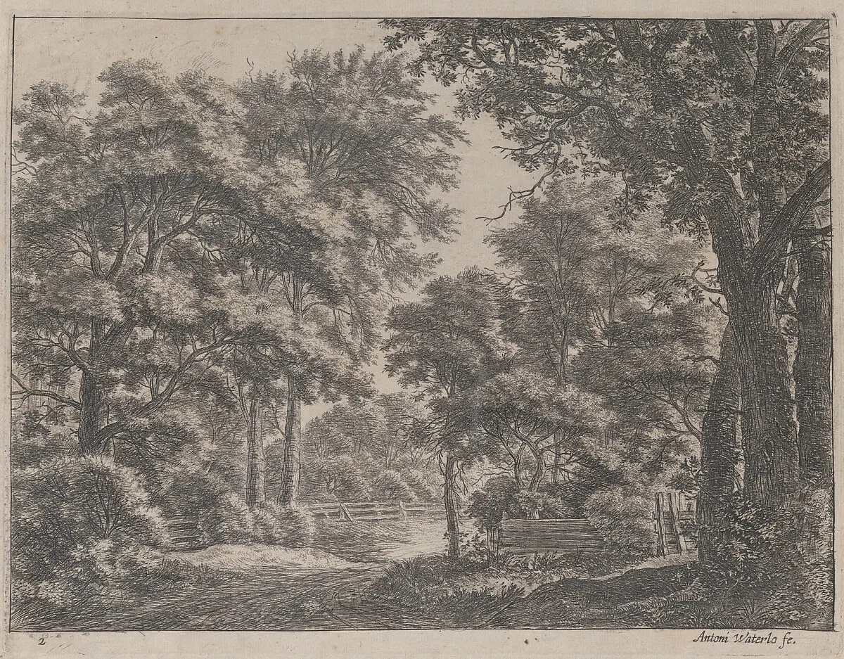 The Trimmed Groves — Anthonie Waterloo