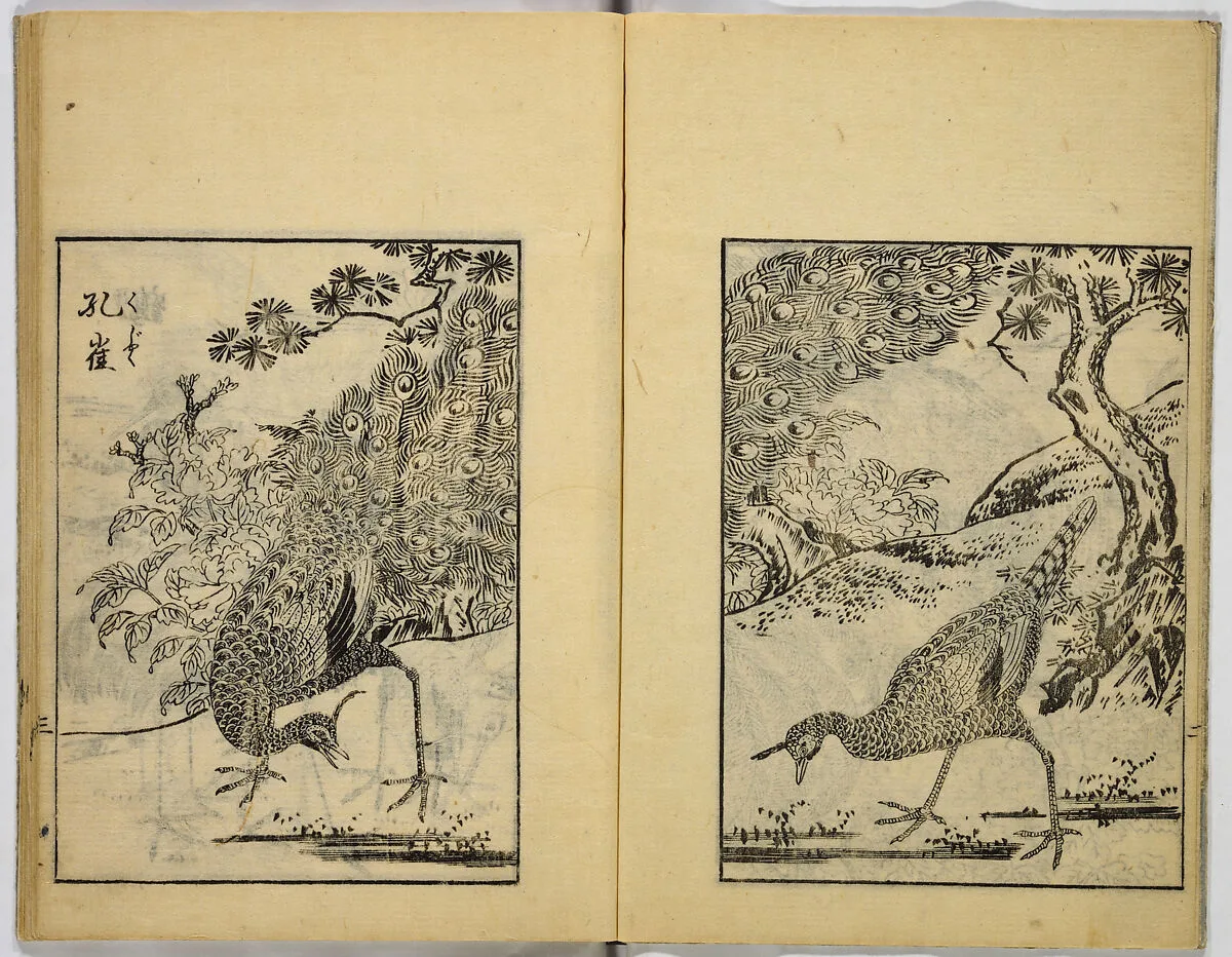 Untitled — Unidentified artist