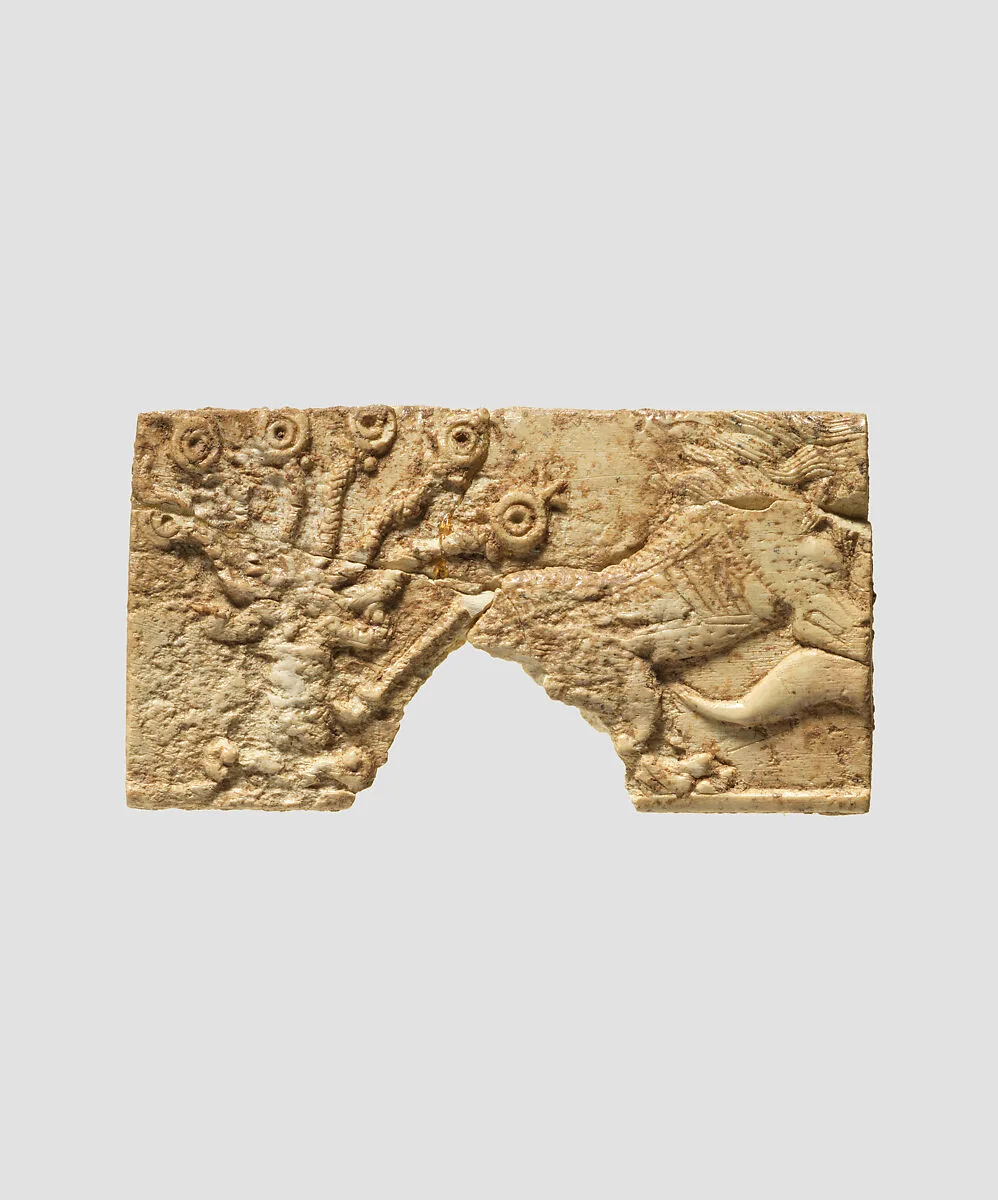 Panel fragment — Unknown
