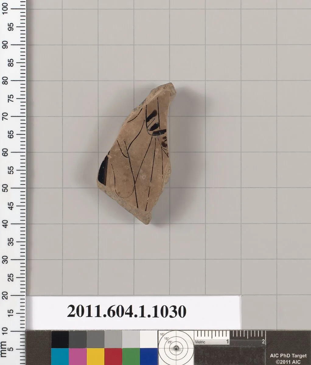 Terracotta fragment of a kylix (drinking cup) — Unknown