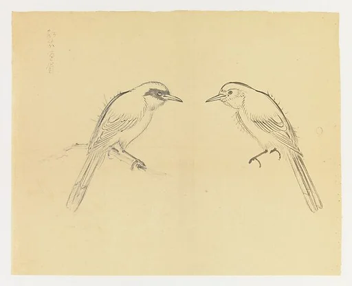 現代 謝稚柳 對稱雀鳥畫稿 鏡片|Mirror-images of a Bird