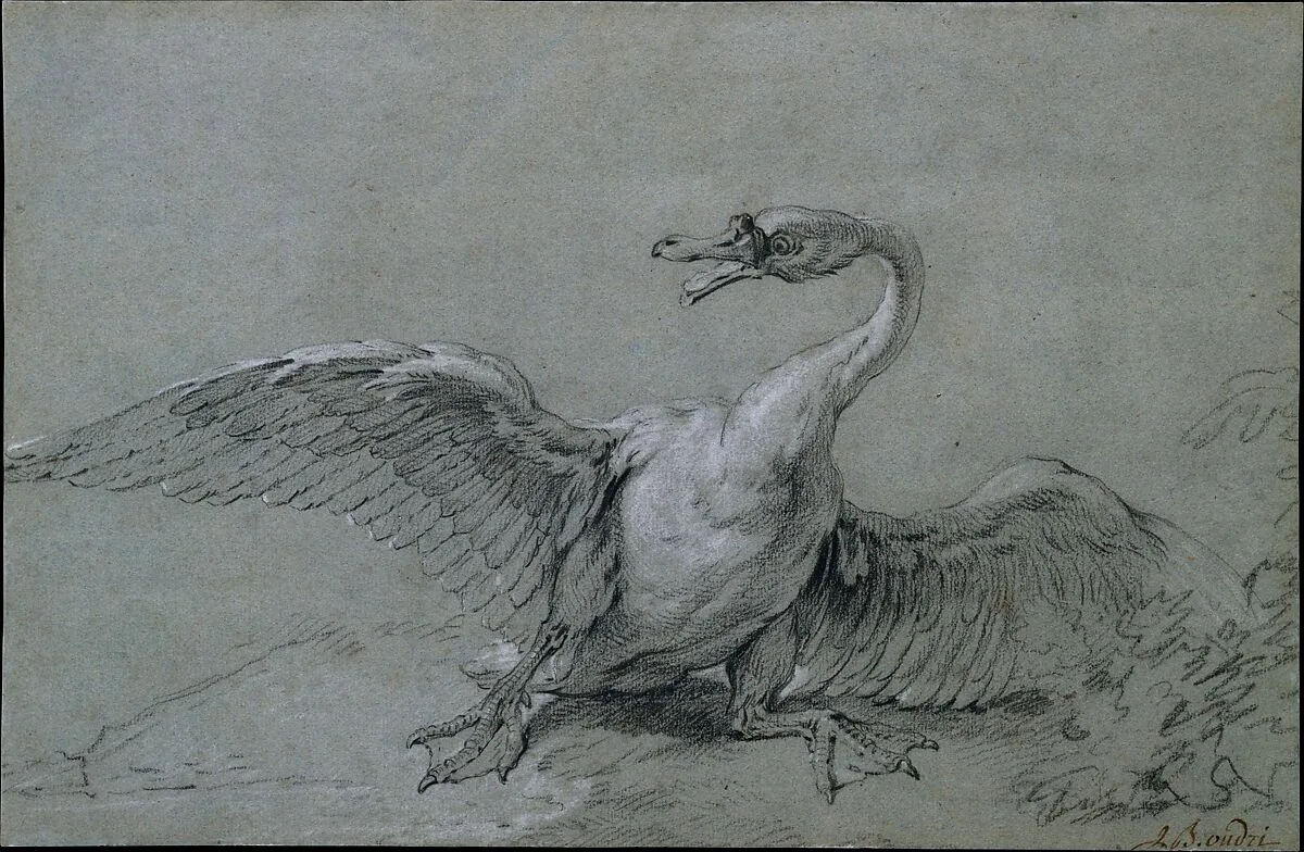 Angry Swan — Jean-Baptiste Oudry