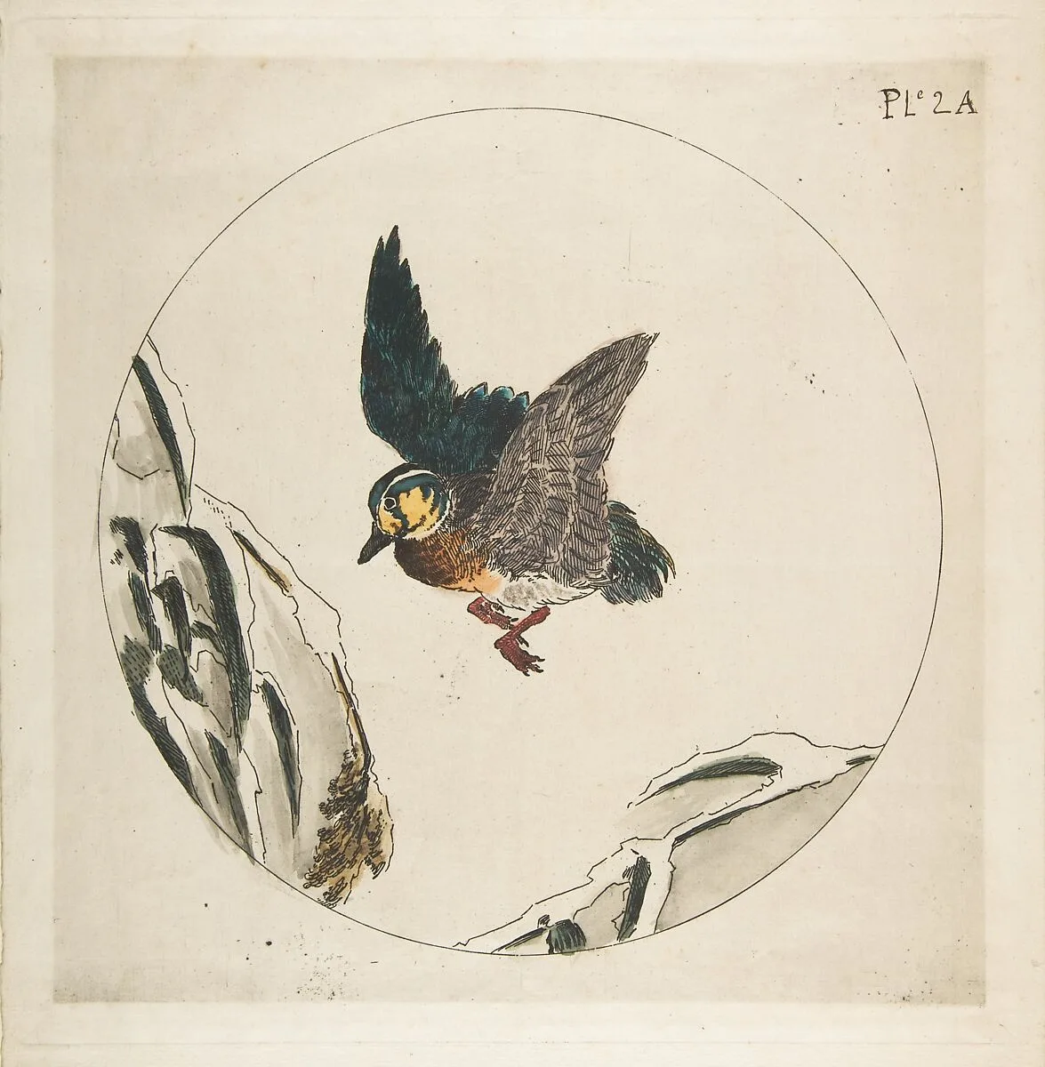 Decoration for a Plate: A Duck flying over Snow-covered Branches — Félix Bracquemond