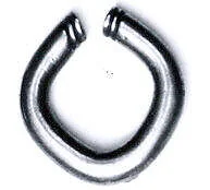 Nose ornament