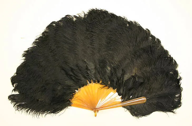 Fan — Unknown