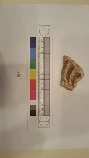 Stucco Fragment