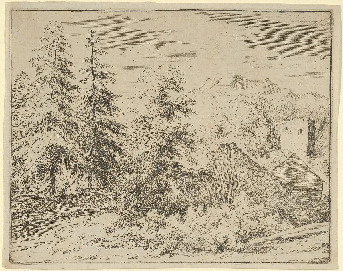 The Man between the Two Fir Trees — Allart van Everdingen