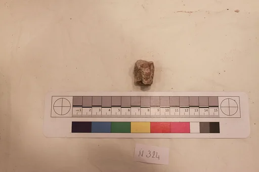 Stucco Fragment