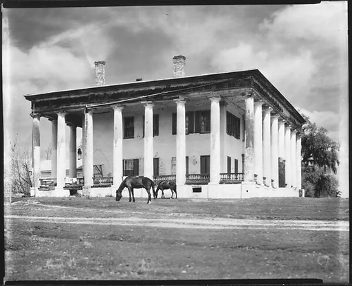 [Greenwood Plantation House with Horses Grazing, Louisiana]