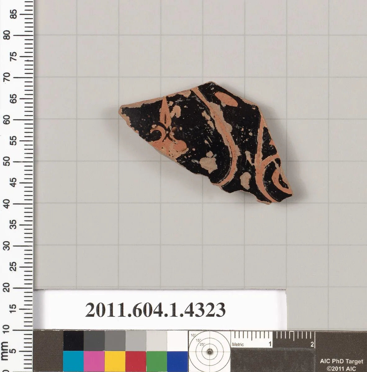 Terracotta fragment of a kylix (drinking cup) — Unknown