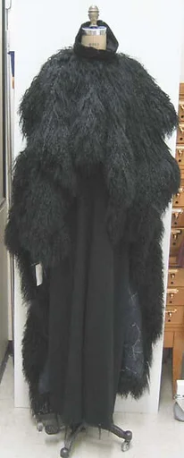 Ensemble