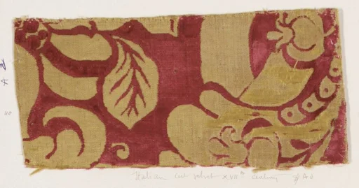 Fragment